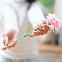 まもなく母の日！カーネーションは実は栄養価の高い花だった!?