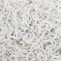 【小さな水族館】しらす干しに混入する”ちりめんモンスター”実はこんなにたくさん！