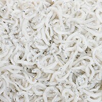 【小さな水族館】しらす干しに混入する”ちりめんモンスター”実はこんなにたくさん！