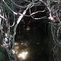 【ツイート増加】緊張感が続くからこそ考えたい 防空壕の基礎知識