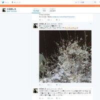 【よき夫?】ココリコ・田中直樹に【モラハラ夫?】疑惑が急浮上!