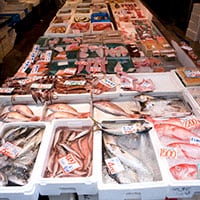 誤情報も拡散中！アニサキスに過熱報道指摘も