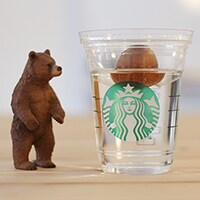 【スタバあるある】フラペチーノを飲んだら水耕栽培すべし