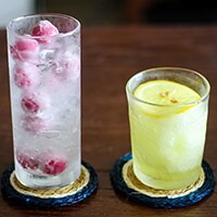 【炭酸水×アイス】超涼しげドリンクでスーパー猛暑も乗り切れそう