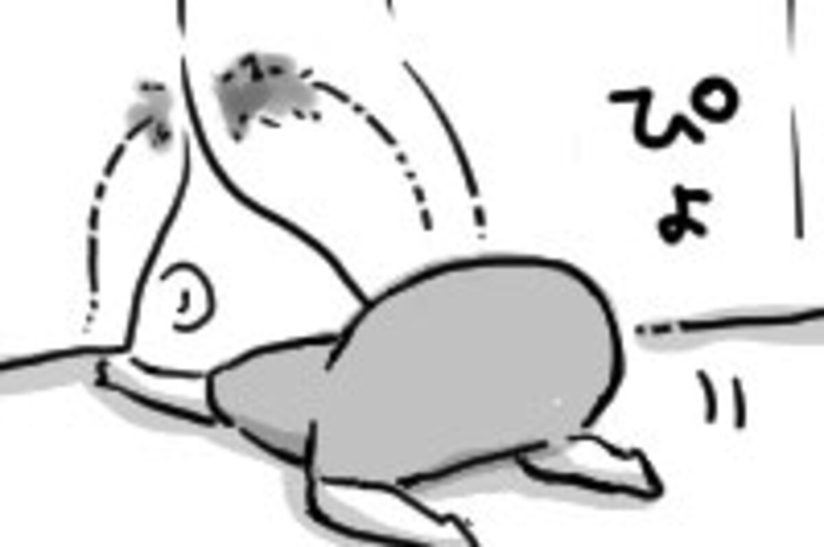 第百五十六話　跳ね上がる尻。