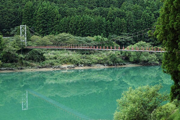【北山村】Twitterでも話題だけど…地域おこし協力隊って結局なに?