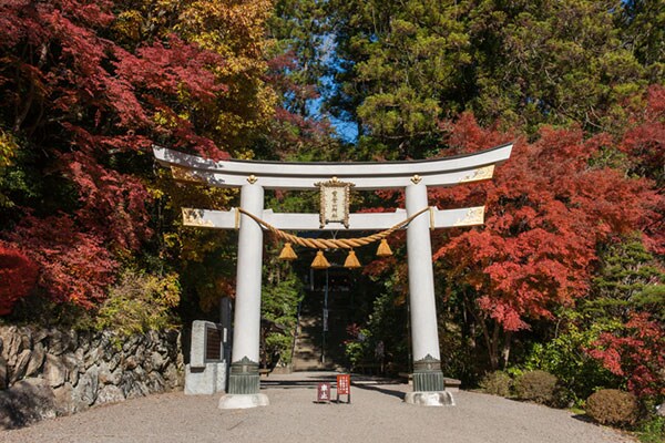 ロープウェイと動物園が子どもに人気の宝登山（埼玉県）