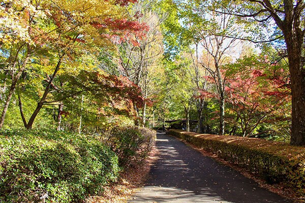 広大な公園で思いっきり遊べる国営武蔵丘陵森林公園(埼玉県)
