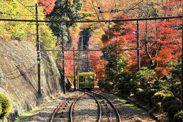 都心から50分の近さ！催し物も盛りだくさんの高尾山（東京都）