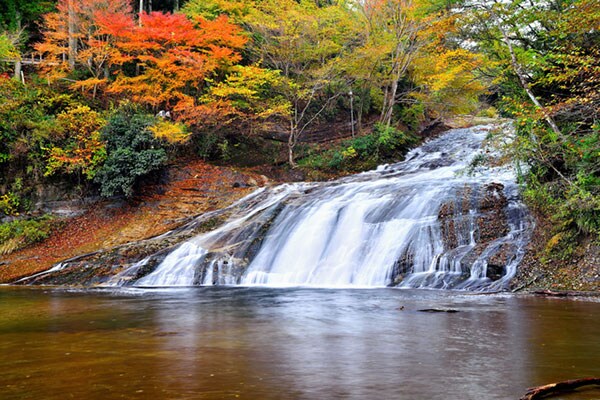 アウトドアレジャーとともに紅葉を楽しめる養老渓谷(千葉県)