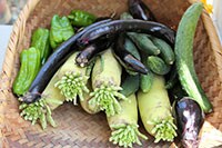 ご近所さんから〇〇を大量にもらえる!?田舎に住む良さとは？