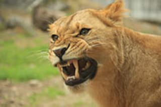 赤ちゃんを抱っこされただけで嫌悪感…ママ達 の「ガルガル期」体験談