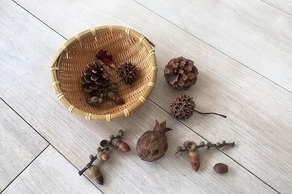 松ぼっくりやどんぐり