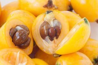 【がん予防効果も嘘？】ビワの種の危険性とは？