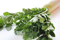 捨てないで！大根の葉を使ったおいしいレシピ3選