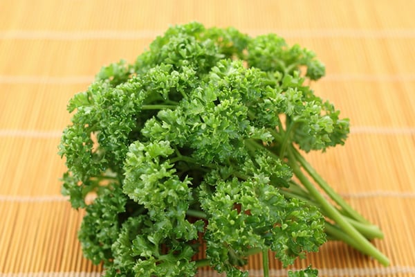 買ったことないかも…フレッシュパセリのおいしいレシピ