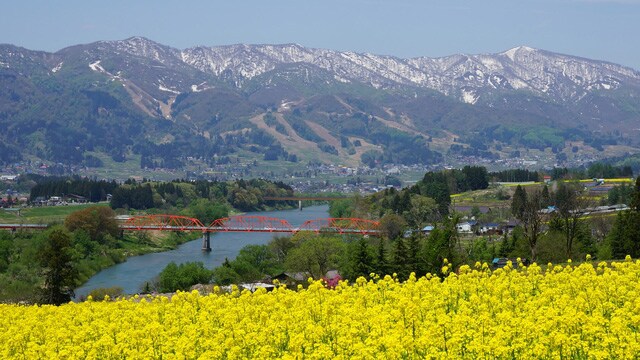 みやちゃん / PIXTA(ピクスタ)