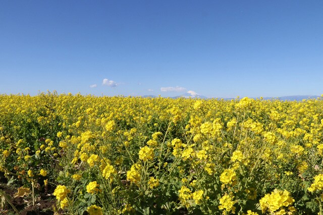 Nobu.T / PIXTA(ピクスタ)