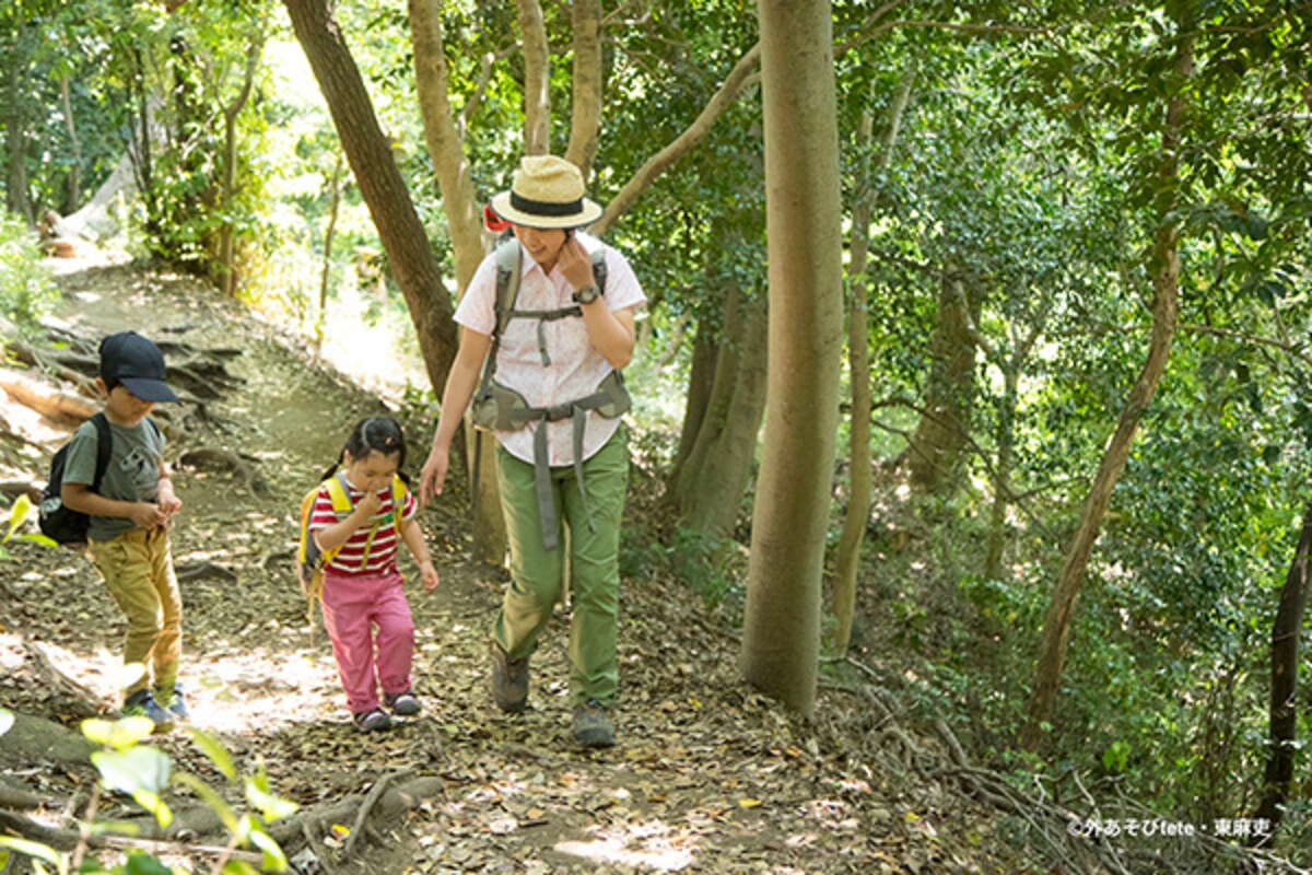 初心者でも登れる！冬の親子ハイキングにおすすめ 首都圏の低山3選