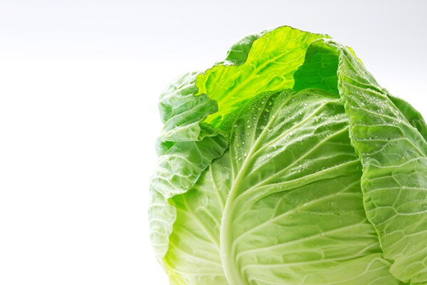 冷蔵庫でかさばるキャベツを減らしたいとき便利な常備菜レシピ3選