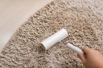 これなら掃除したくなっちゃう！ おしゃれなコロコロクリーナーが続々