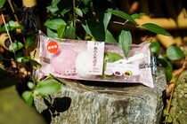 想像通りだけどそれがいい！セブンの三色団子が地味ウマイ