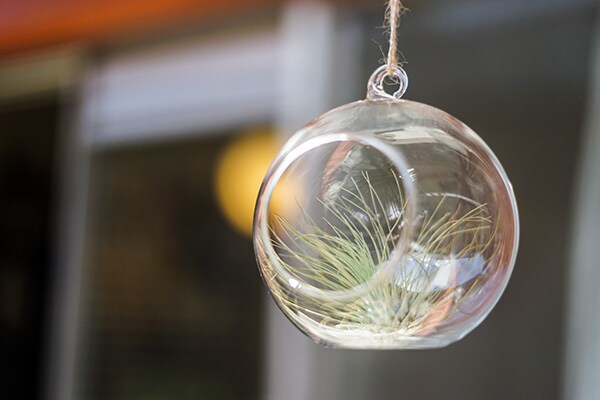 【3COINS】あのオシャレアイテムが300円で買えて歓喜!