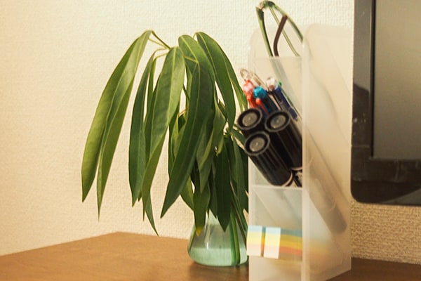 【家族で使える】キャン★ドゥの「タワーペンスタンド」が超優秀!