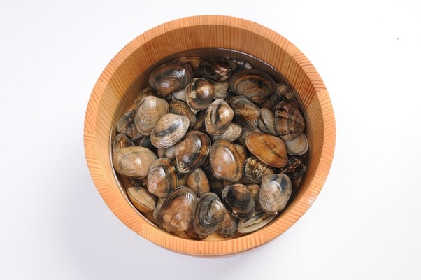 持ち帰ったアサリはどうするの? 上手な砂抜きと保存方法