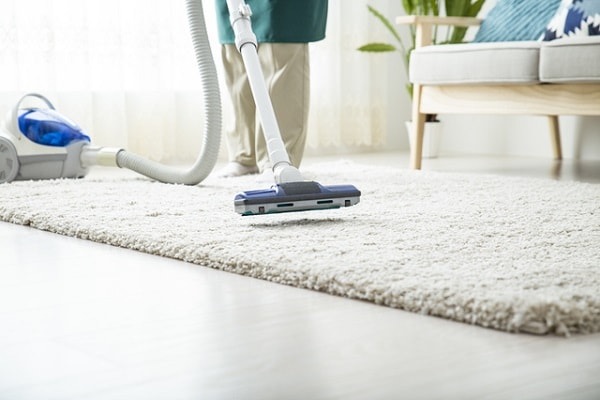 【専門家アドバイス】本当に正しいダニ対策は?