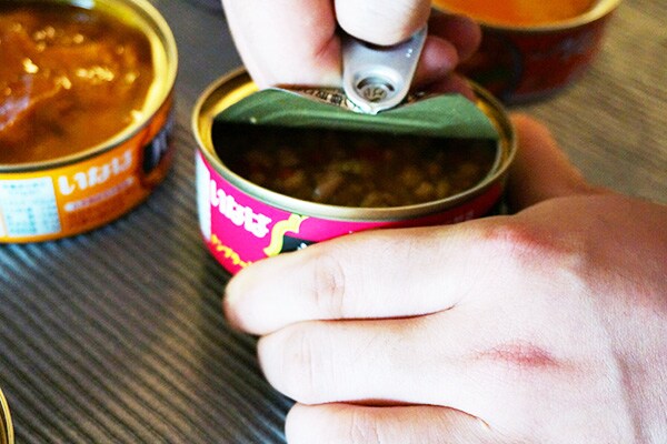 いなば缶詰「タイシリーズ」6種を比較！　1位に輝いたのはまさかの…