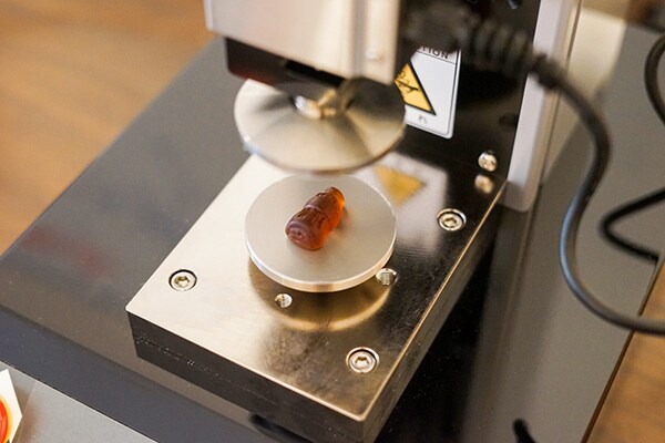 フォーステスター