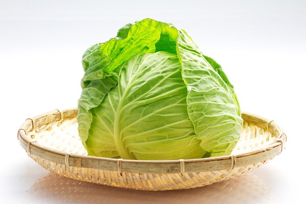 ロールキャベツだけじゃない！キャベツ包みレシピ3選