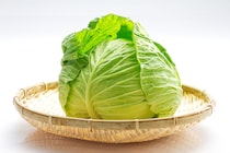 ロールキャベツだけじゃない！キャベツ包みレシピ3選