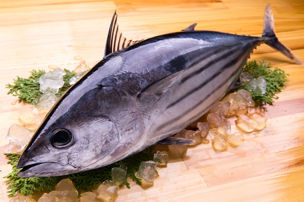 今が旬!「初ガツオ」をおいしく食べる丼ぶりレシピ3選!