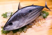 今が旬！「初ガツオ」をおいしく食べる丼ぶりレシピ3選！