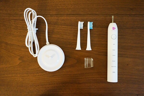 mmt1804_dendouhaburashi02