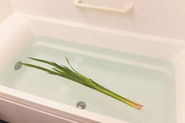 子どもに聞かれても安心!「端午の節句」と「菖蒲」の関係は?