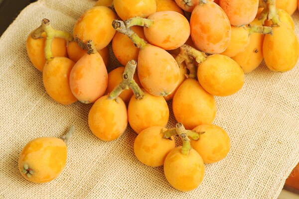 食べきれなかった…余ったびわの活用レシピ3選