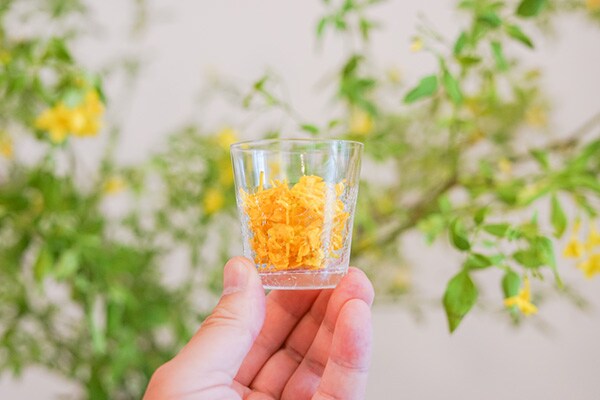 捨てないで！ 落花でドライフラワーを超簡単に作る方法