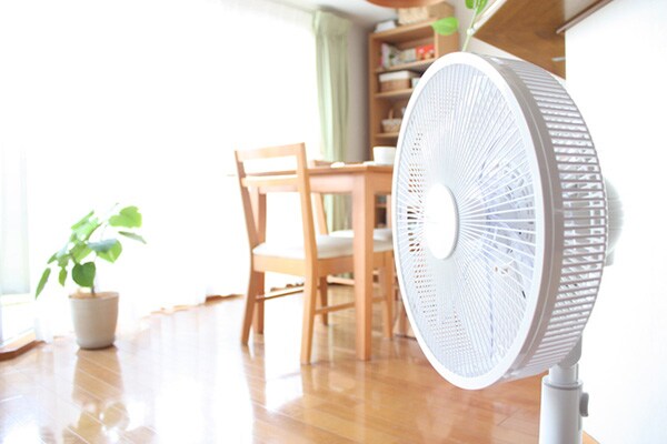 つけっぱなしの家庭も…扇風機の電気代っていかほど?
