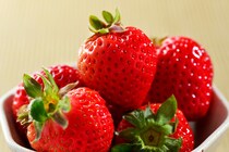 【食感パリパリ、甘み倍増】○○を油で揚げるとおいしい