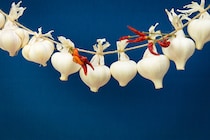 パスタ以外でもイケる！ 絶品ペペロンレシピ3選