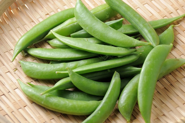 パリッとした食感がたまらない！スナップエンドウレシピ3選