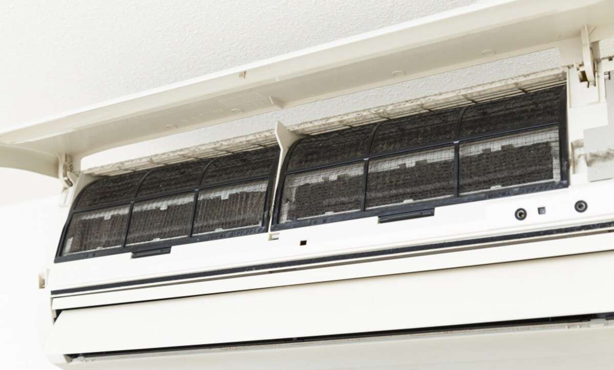 梅雨時期に注意！カビが引き起こす病気