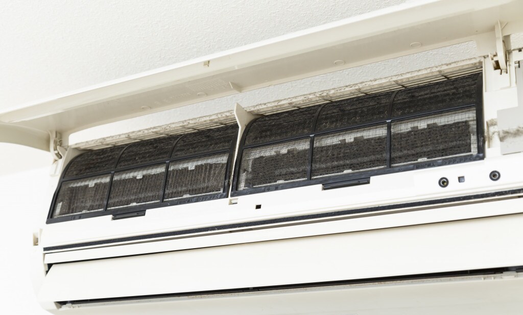 梅雨時期に注意!カビが引き起こす病気