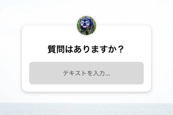 【インスタの新機能】もう試した? 気になる使い方は…