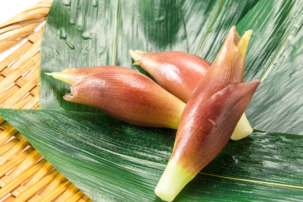 脇役を主役に格上げ！ ミョウガを使ったレシピ