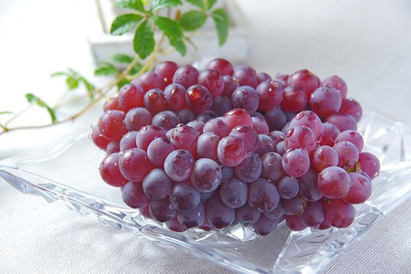 面倒くさがりもこれで解決！ ブドウの簡単な食べ方