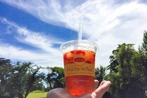 表参道の人気ドリンクがローソンで!?　「フルーツインティー」にハマりそう！
